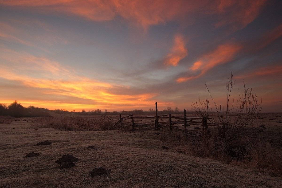 , Николай Шахманцир