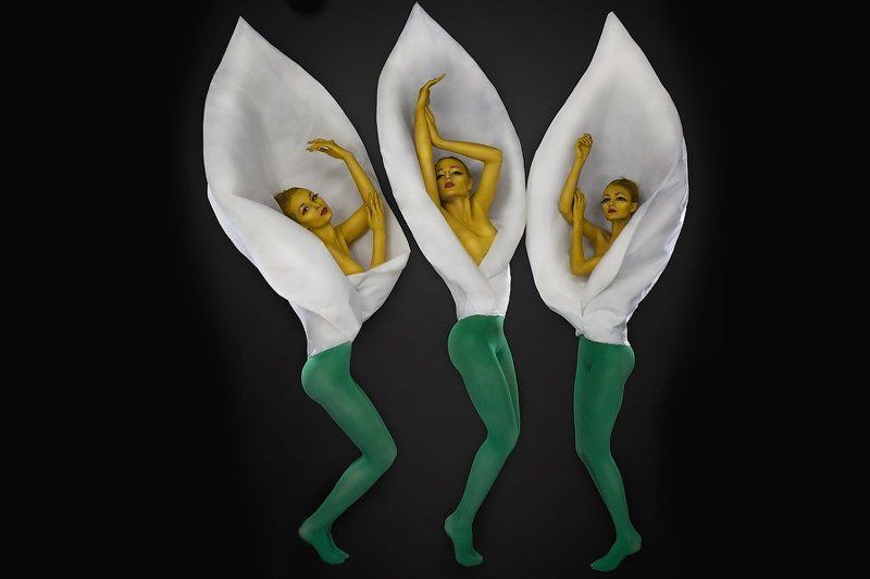 KALLAS фото превью