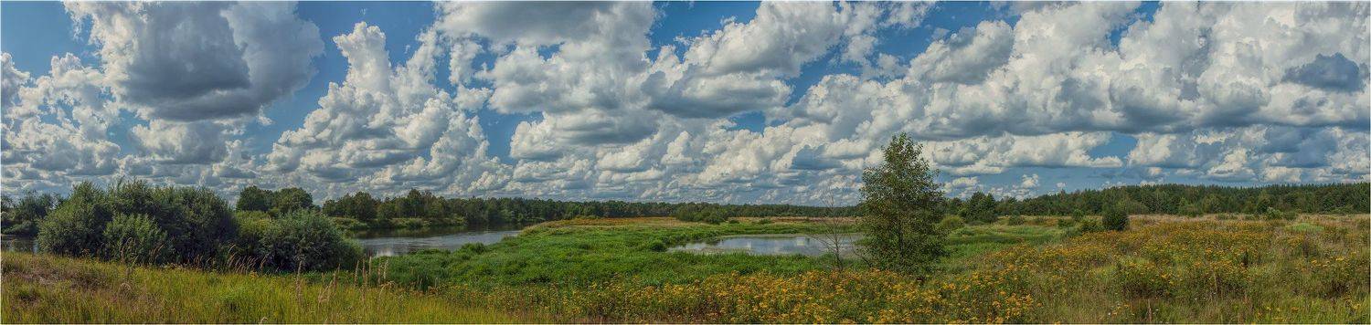 , Владимир Веснин