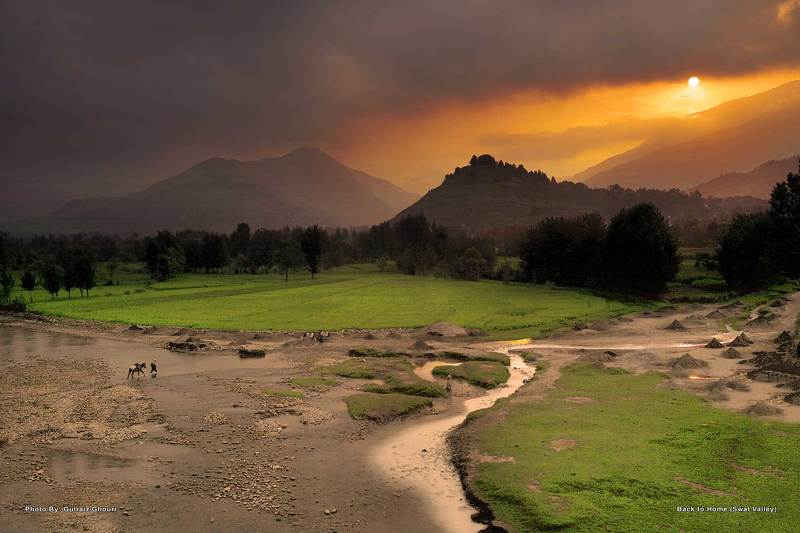 ===$=== фото превью