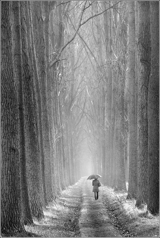 Road of Life фото превью