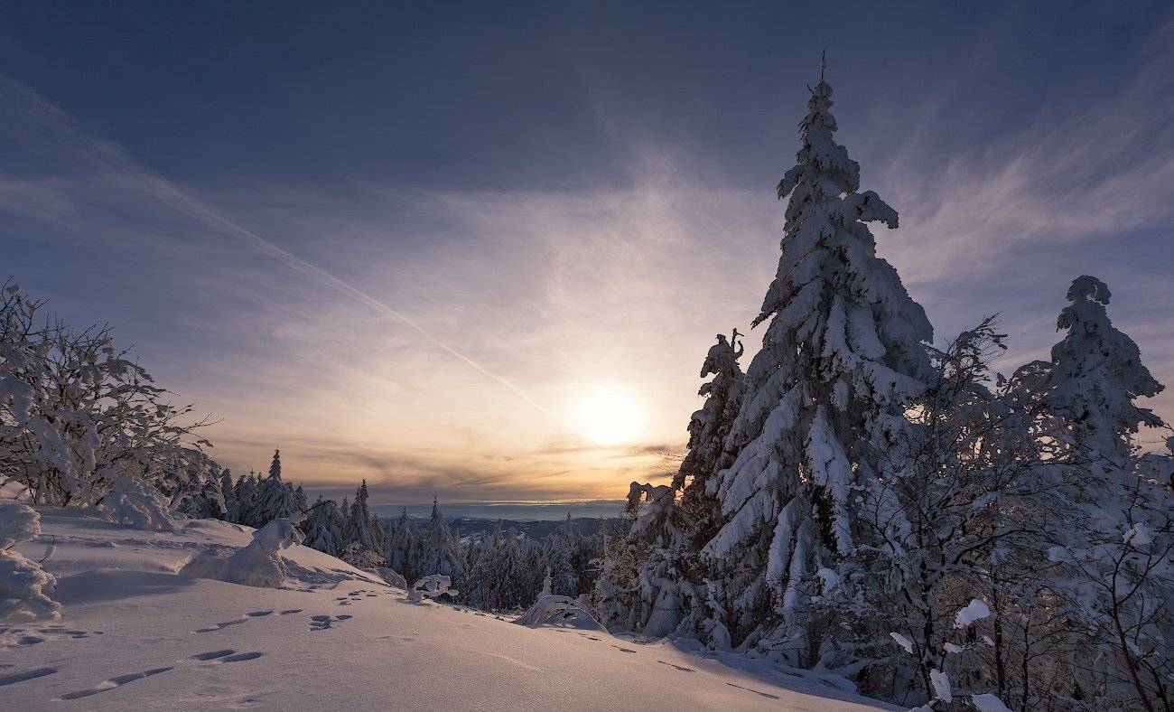 , Игорь Иванов