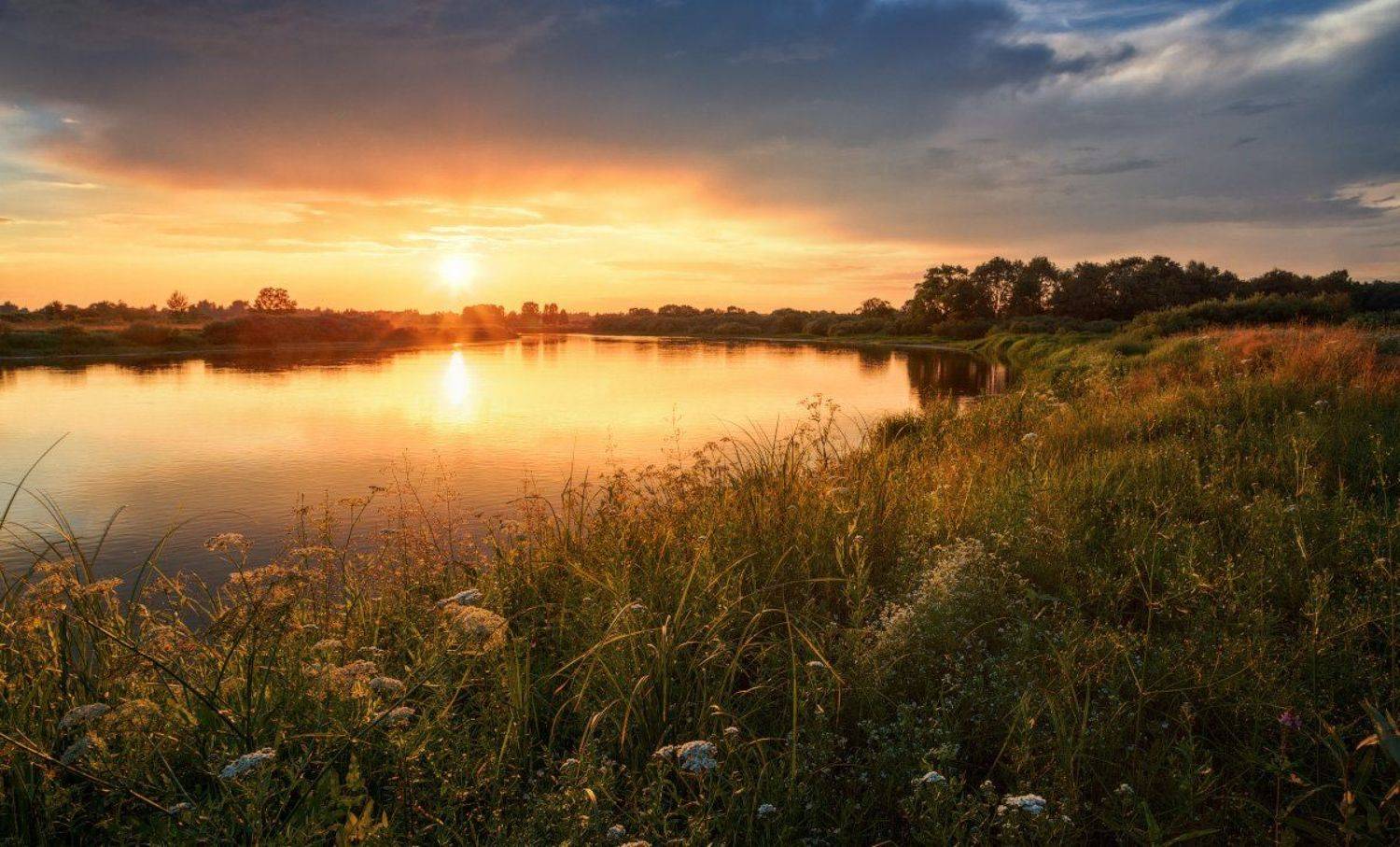 , Михаил Кушнер