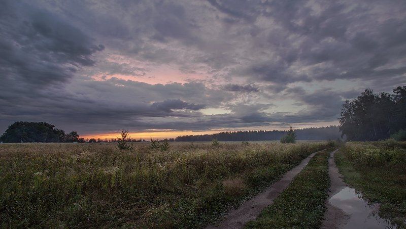 купавна., подмосковье Встречая июльский рассвет фото превью