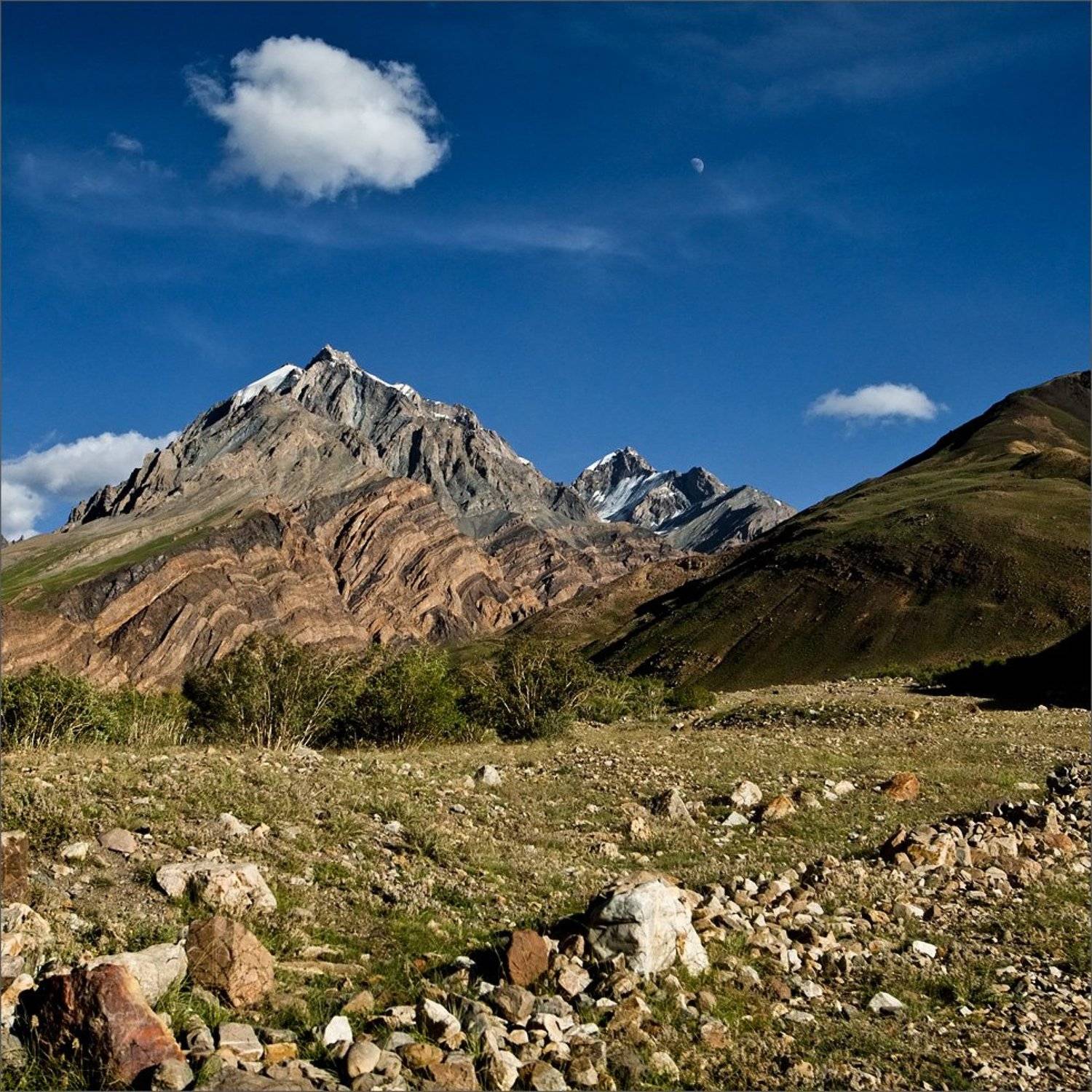 Гималаи, Нетушки