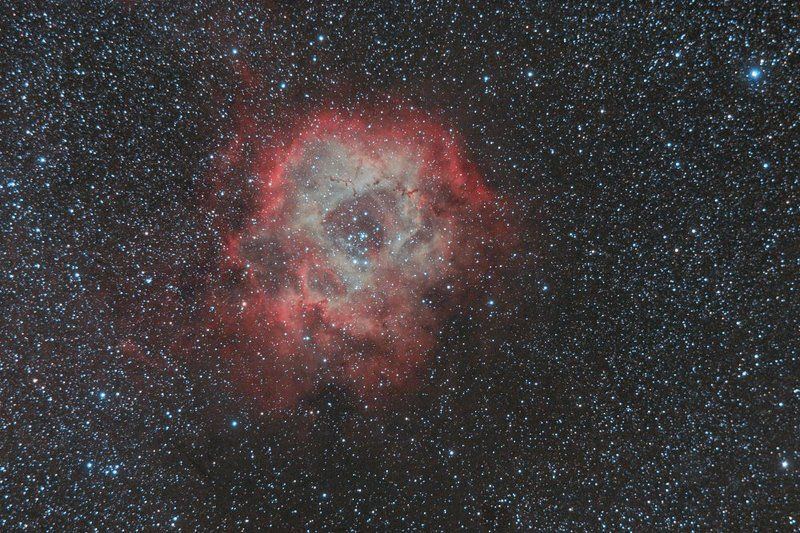 И РАСПУСТИЛИСЬ В БЕЗДНЕ РОЗЫ..... фото превью