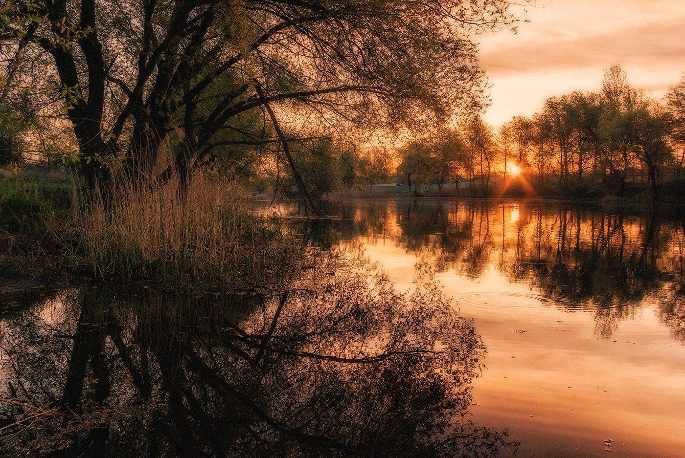 , Игорь Мелекесцев