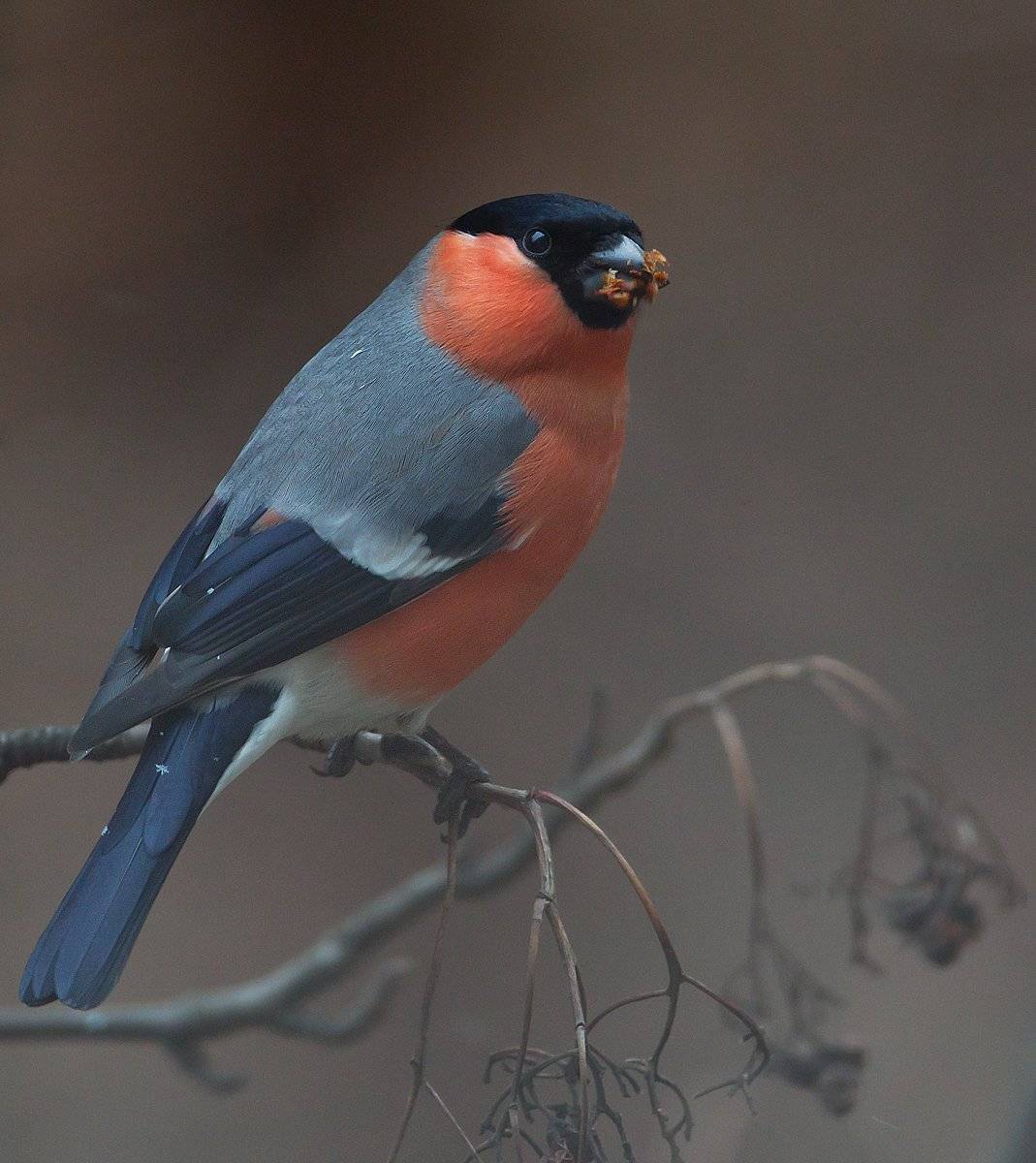 , Андрей Канышев
