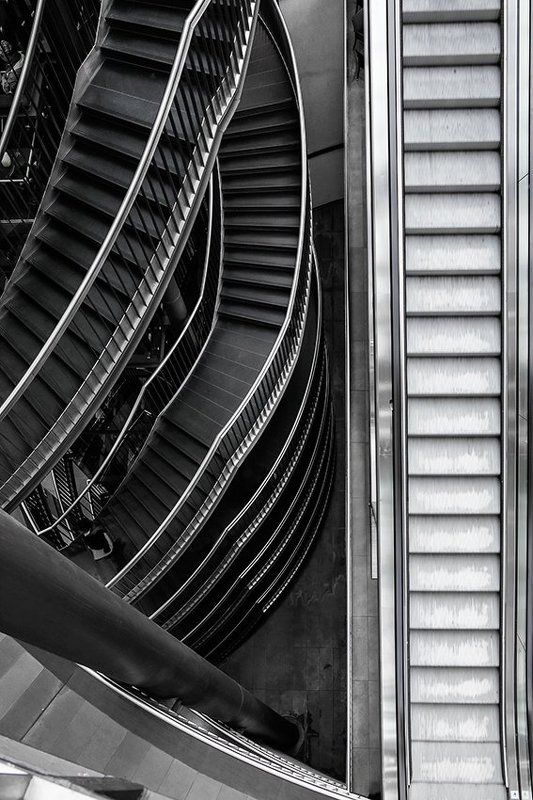 линии фото превью