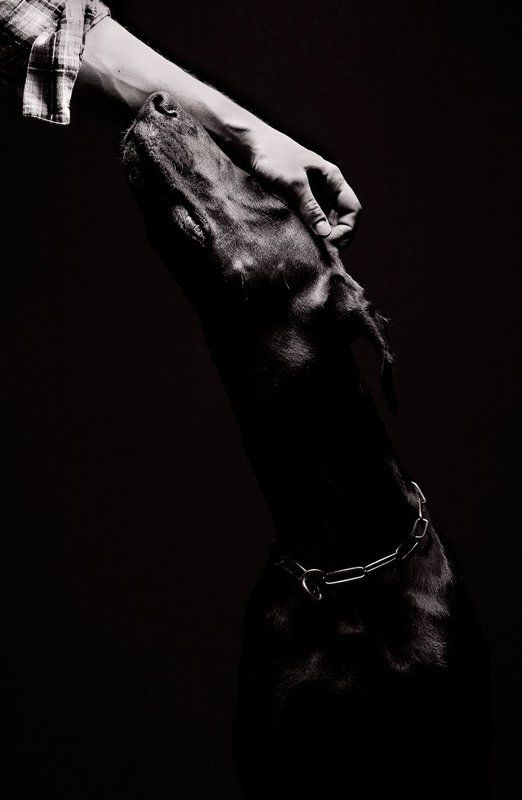 ...а большего и не надо фото превью