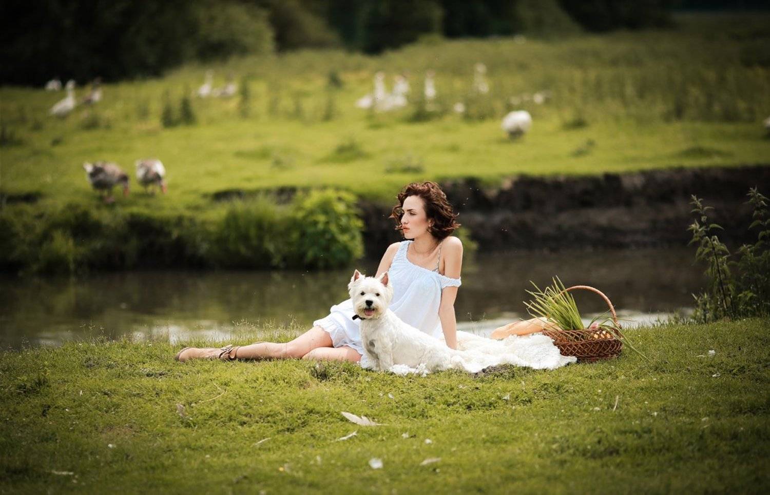 , Вербіцкий Тарас