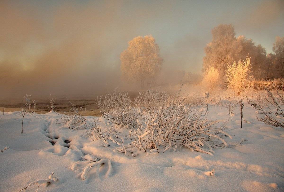 , Александр Коротков