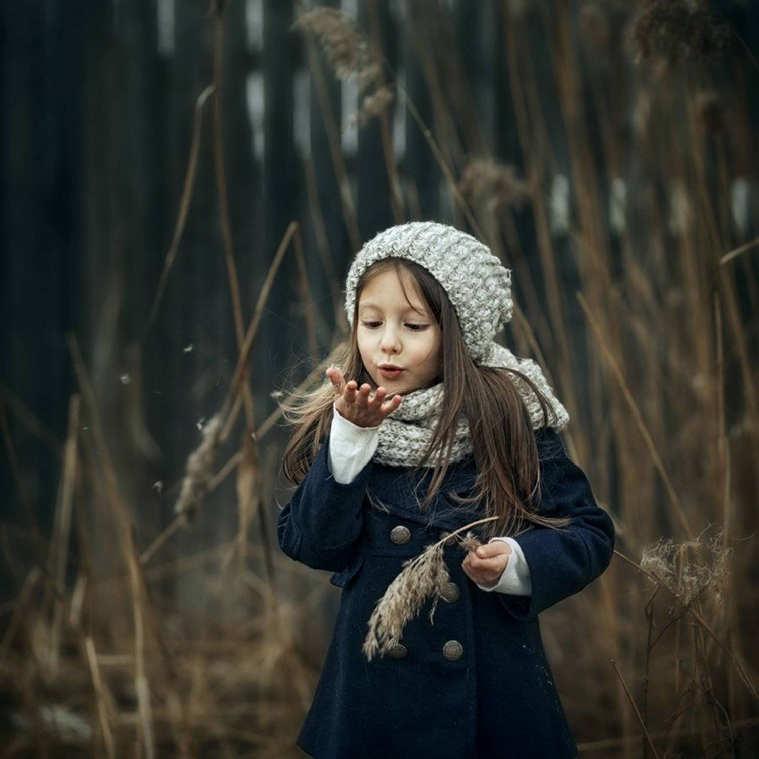 , DesiArt Kuleshova