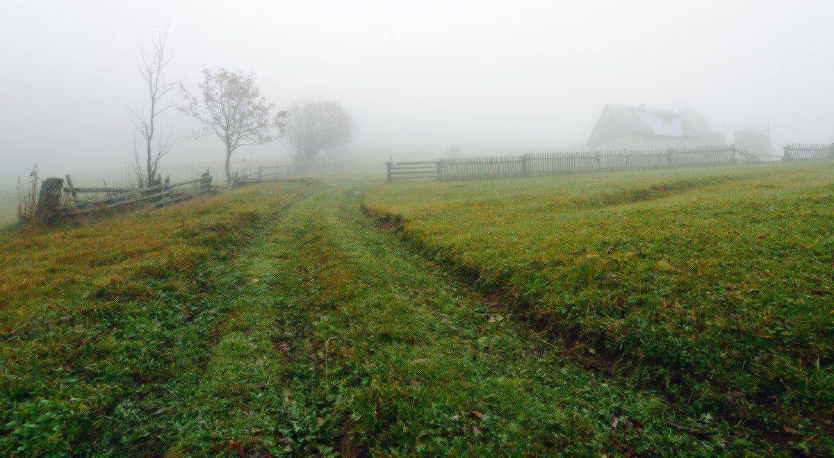 , Ярослав Тюрменко (Jaremi)