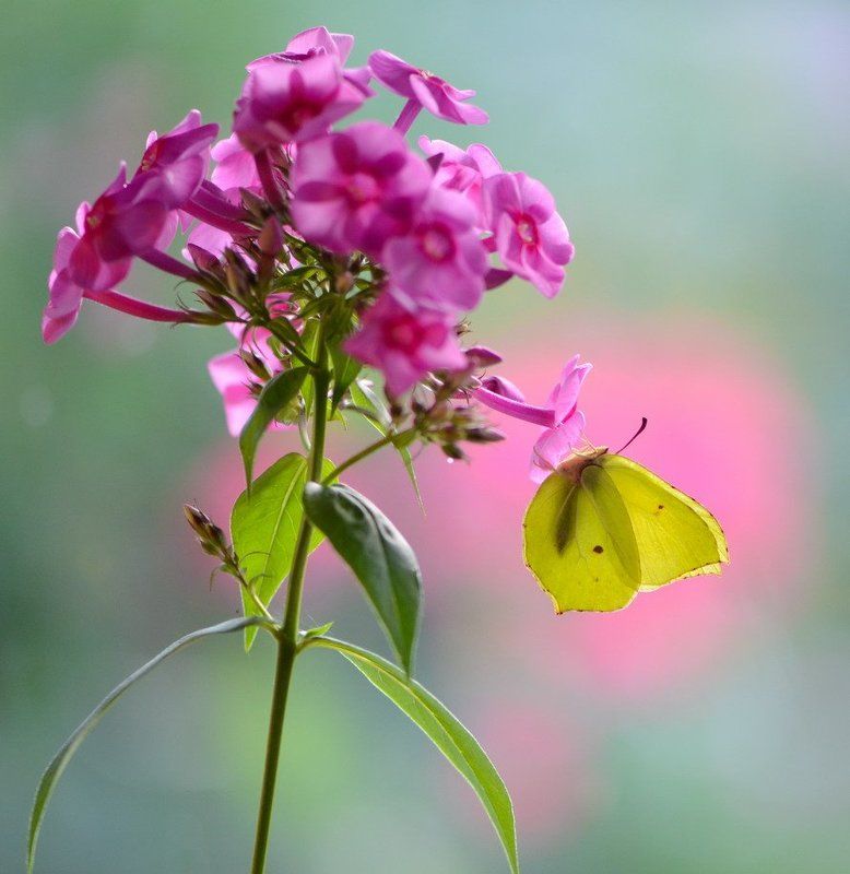 Воздушние очертания фото превью