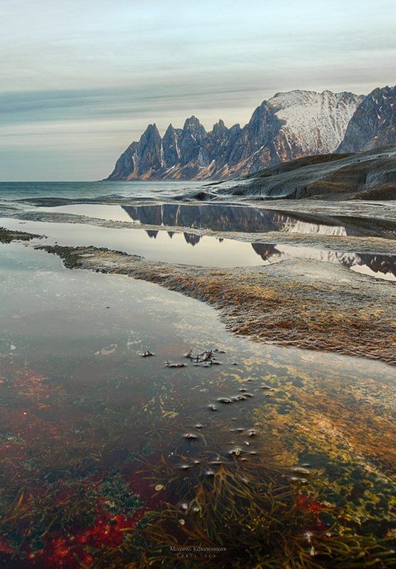 травянисто-зубастое утро фото превью