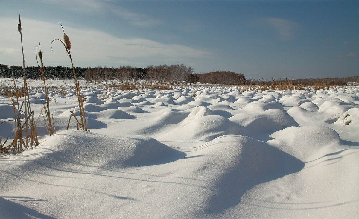 , Николай Морский