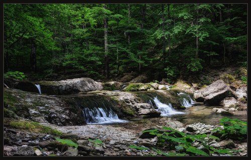 По ступеням летнего Аюка...