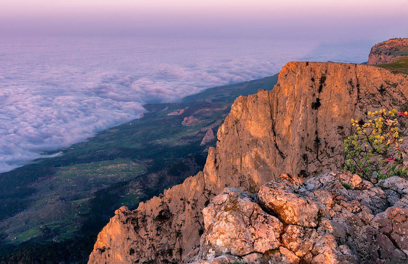 , Игорь Мелекесцев