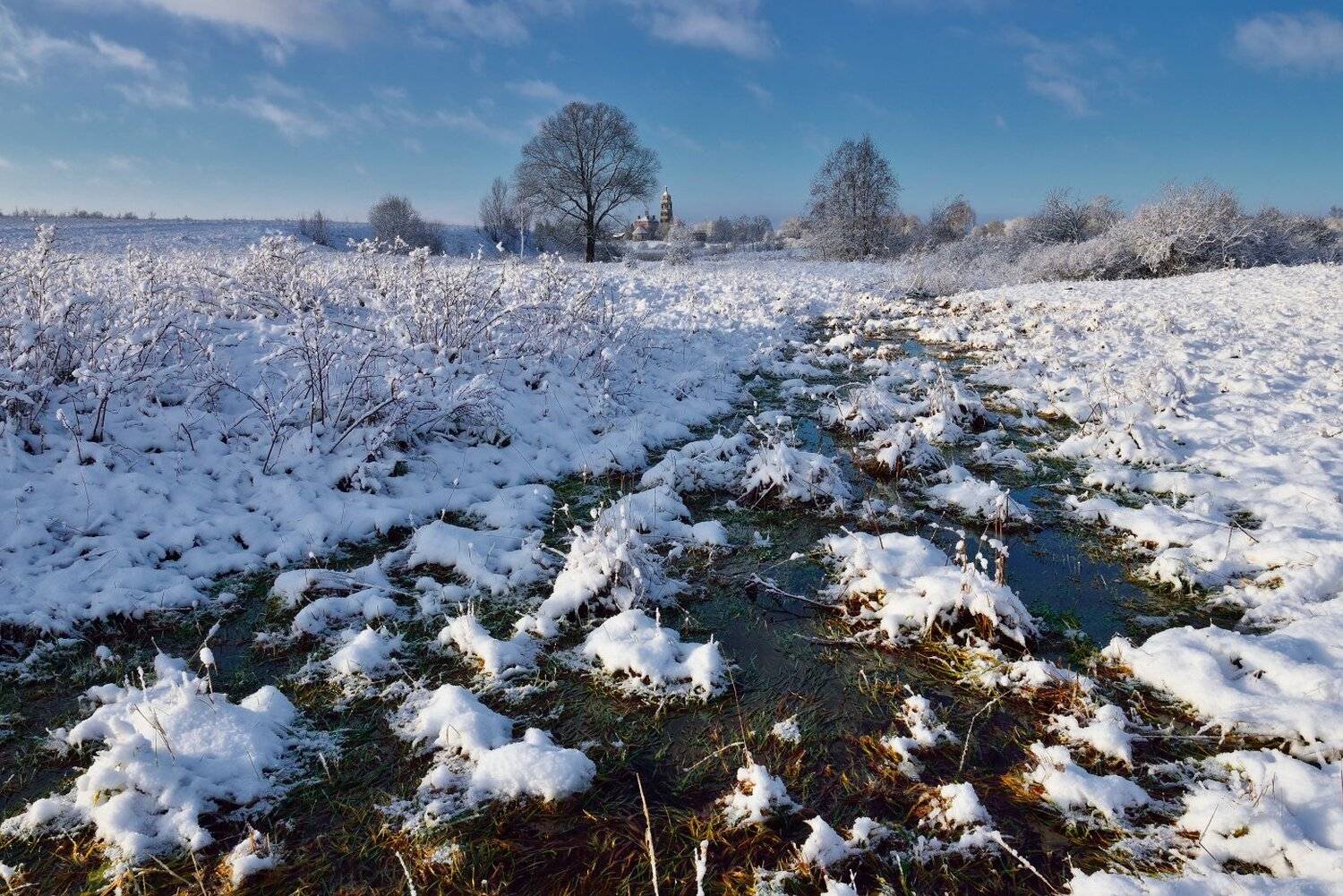 , Максим Евдокимов