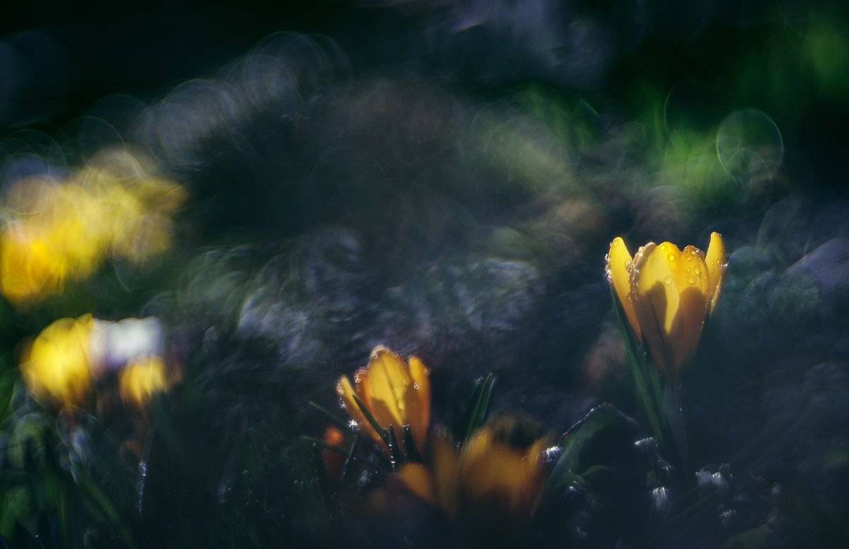 , Татьяна Аверина