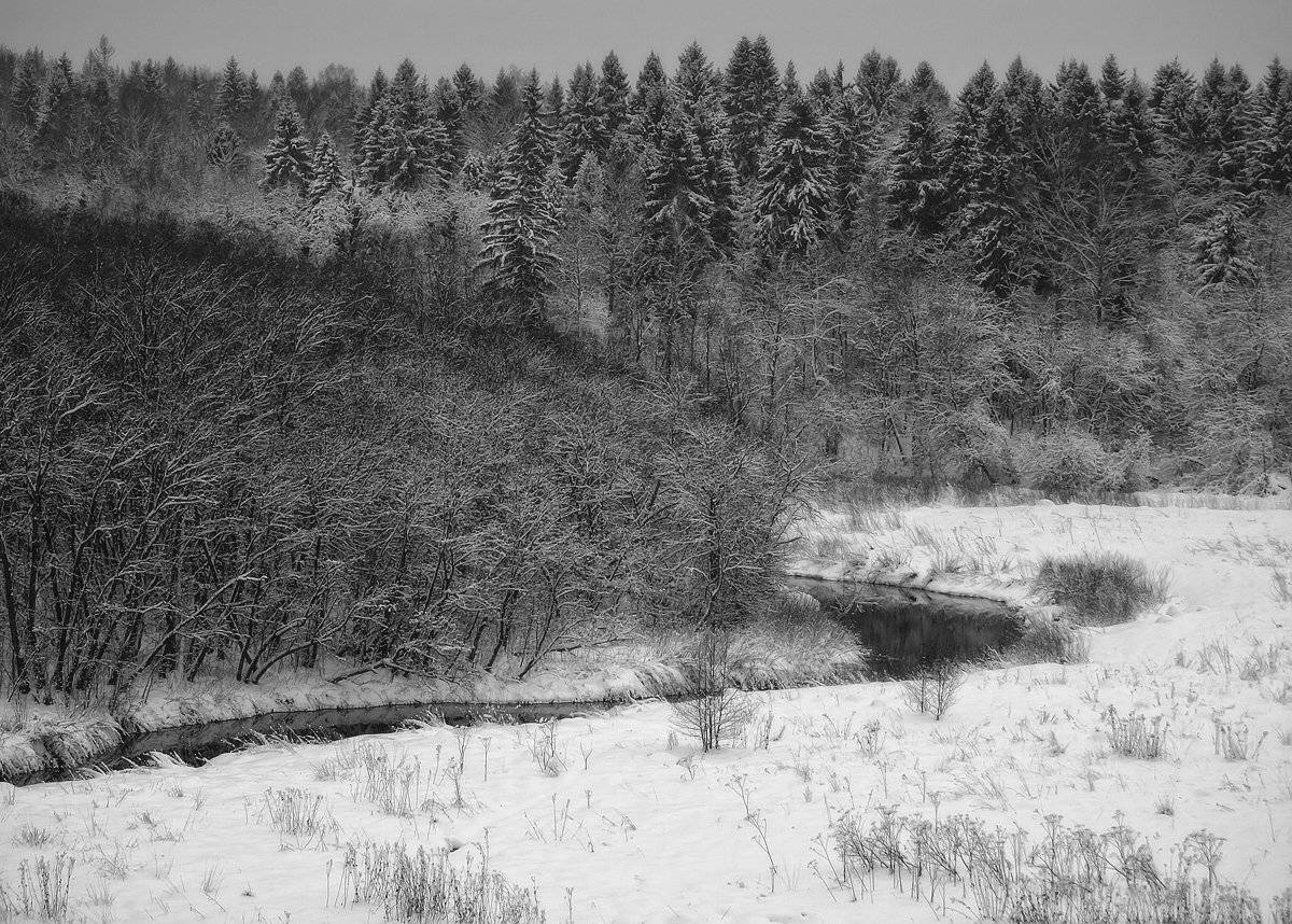 , Владимир Перепечаев