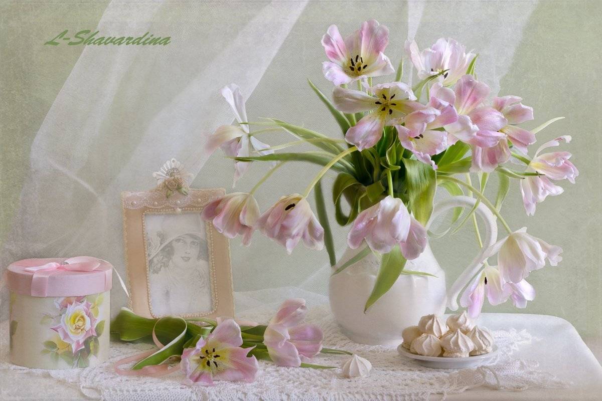 , Елизавета Шавардина