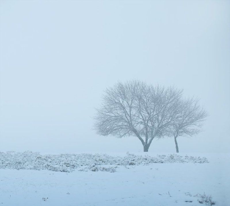 kaxahistan, turbat фото превью