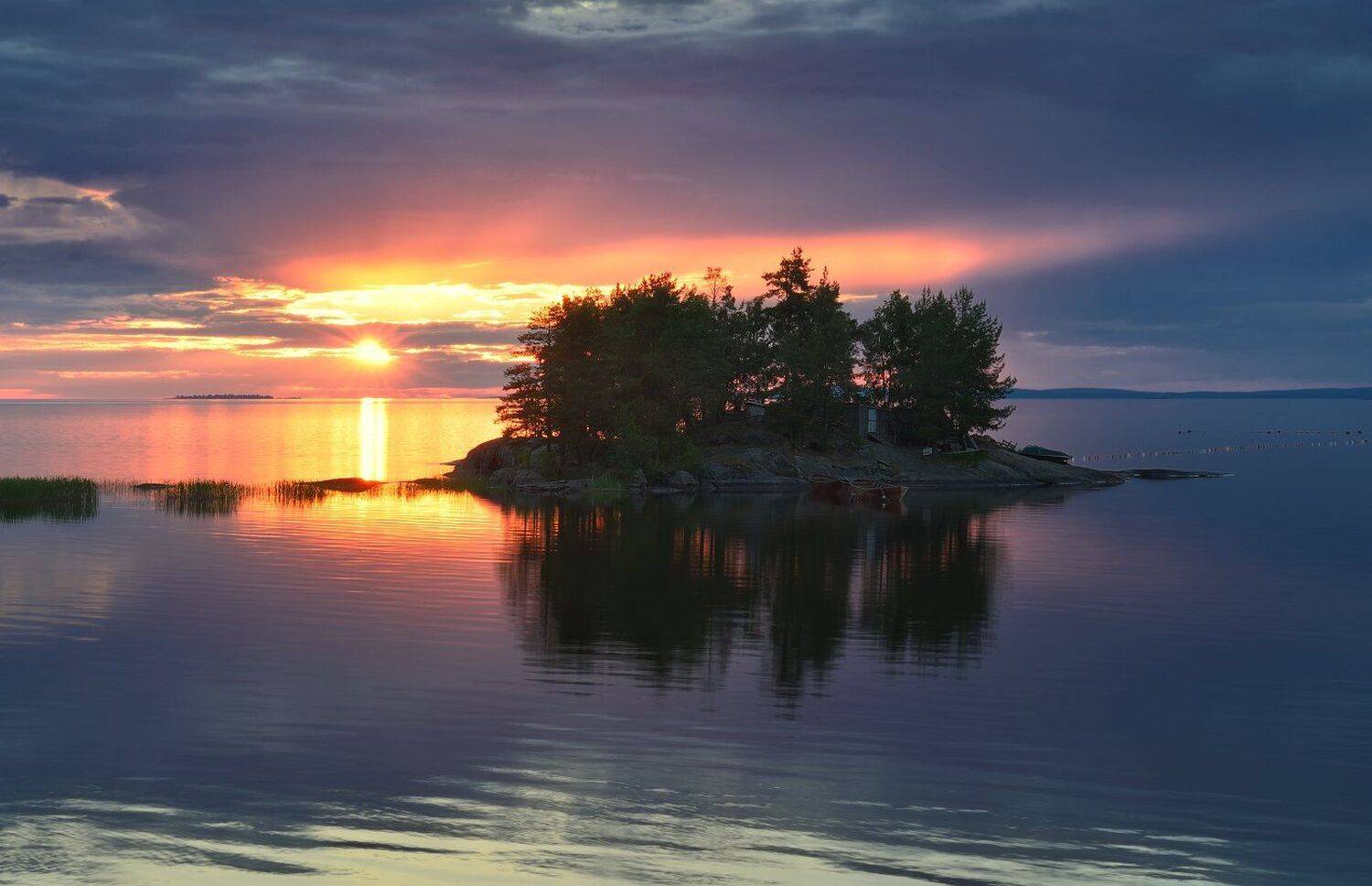 , Максим Евдокимов