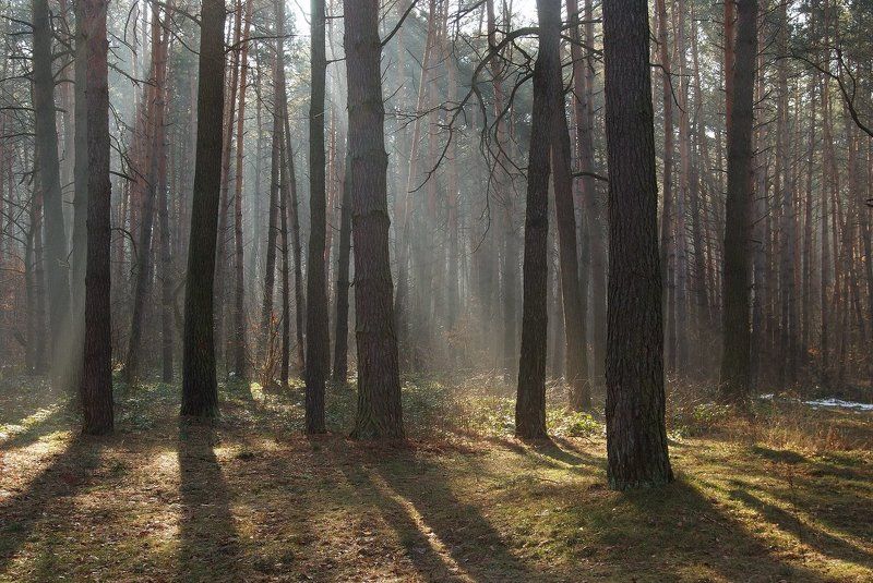 пришла...! фото превью