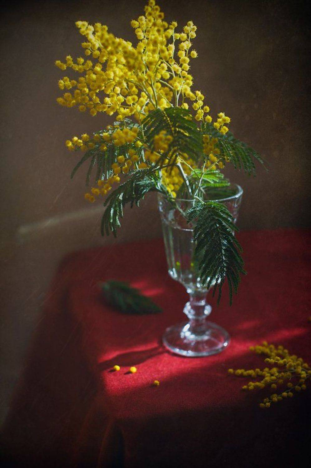 , Киясов Антон