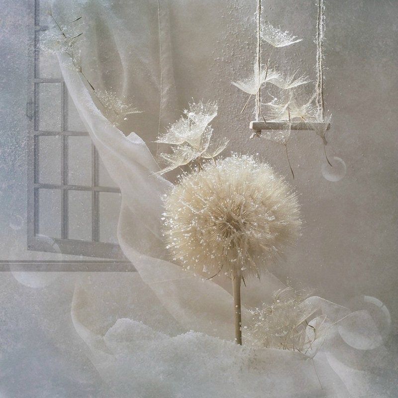 Нас не догонят...) фото превью