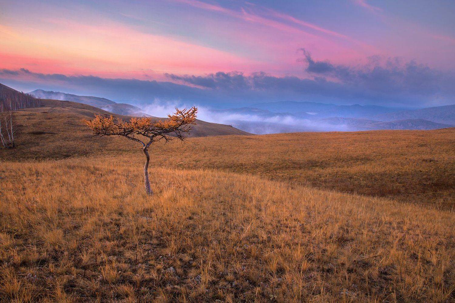 , Александр Сысуев