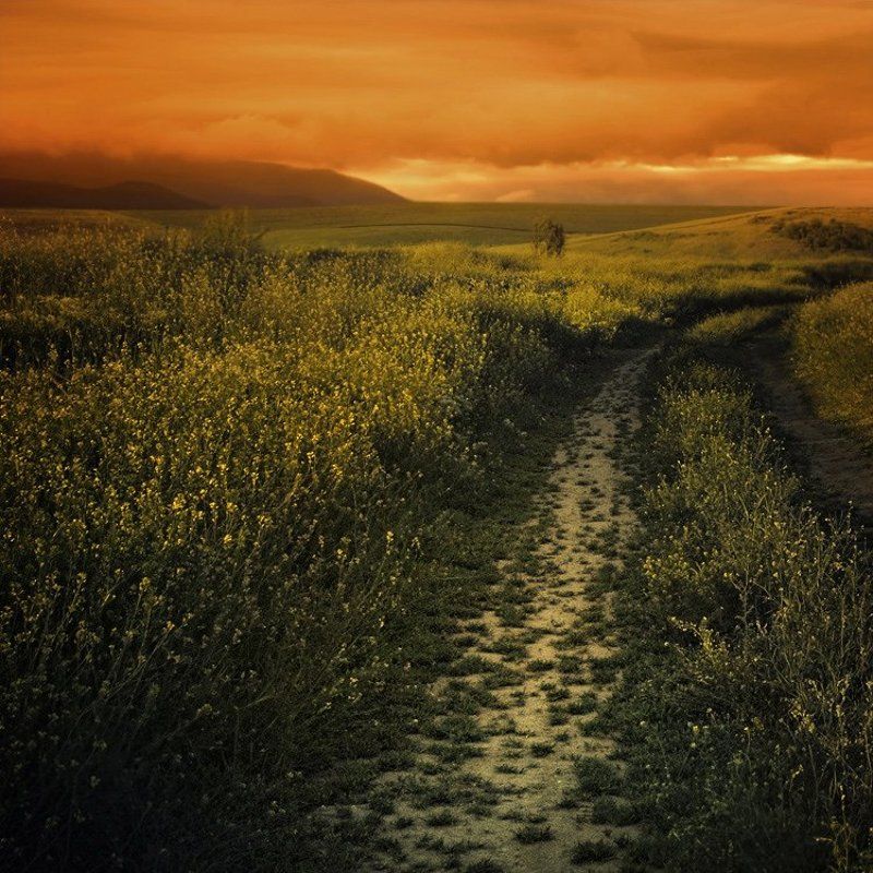 The green mile фото превью