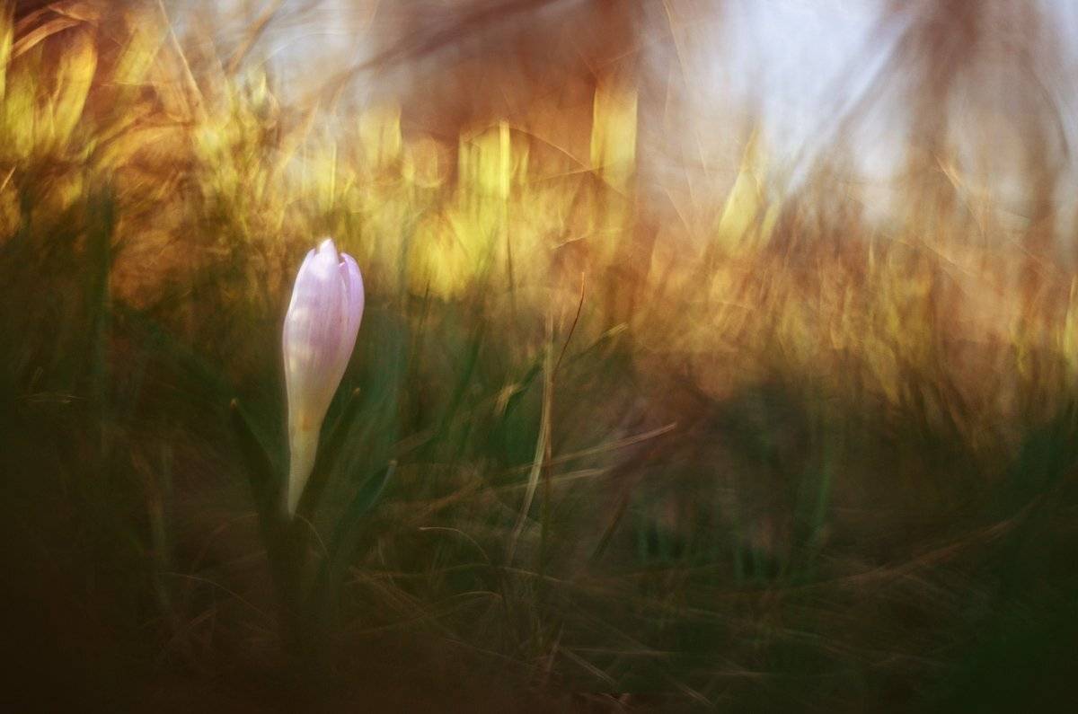 , Татьяна Аверина