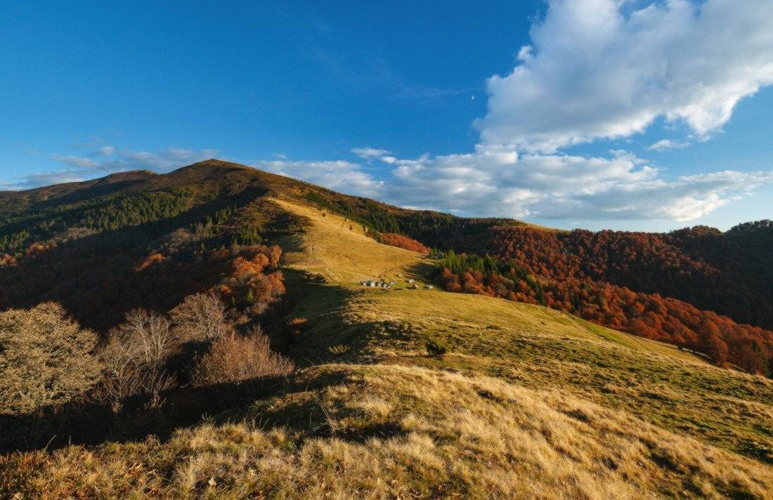 , Ярослав Тюрменко (Jaremi)