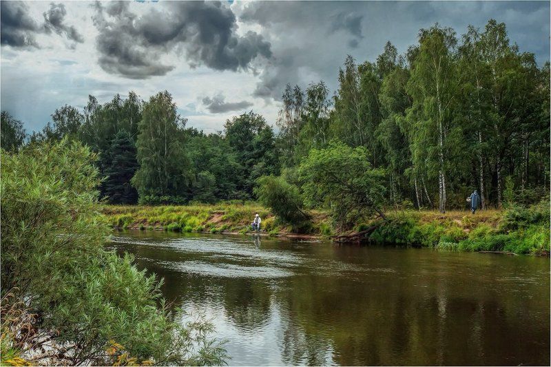 Кому грибы, а кому и рыбка! фото превью