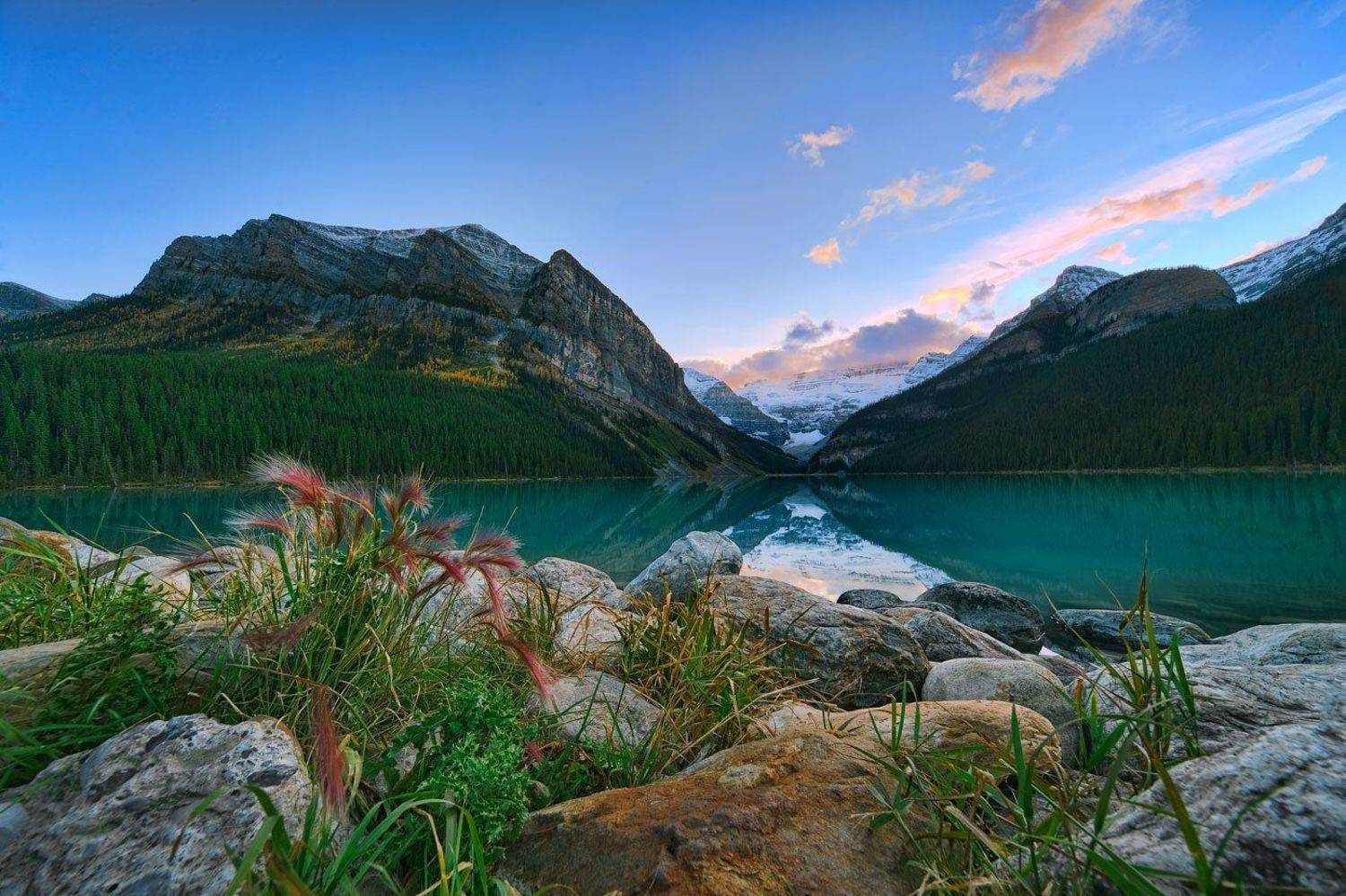 , Анна Яценко