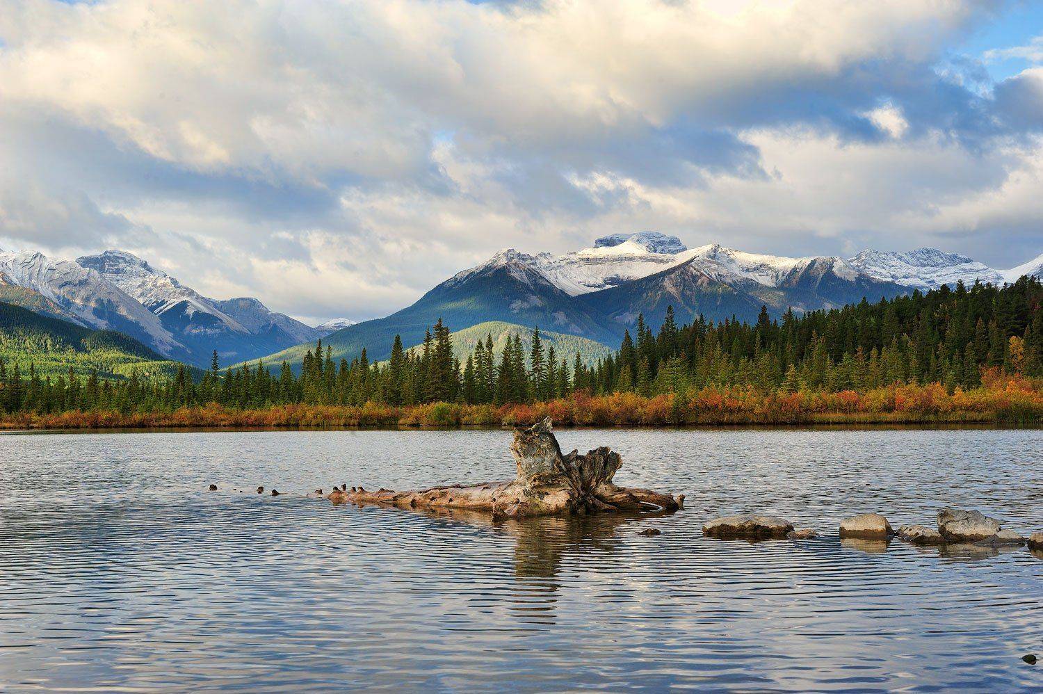 , Анна Яценко