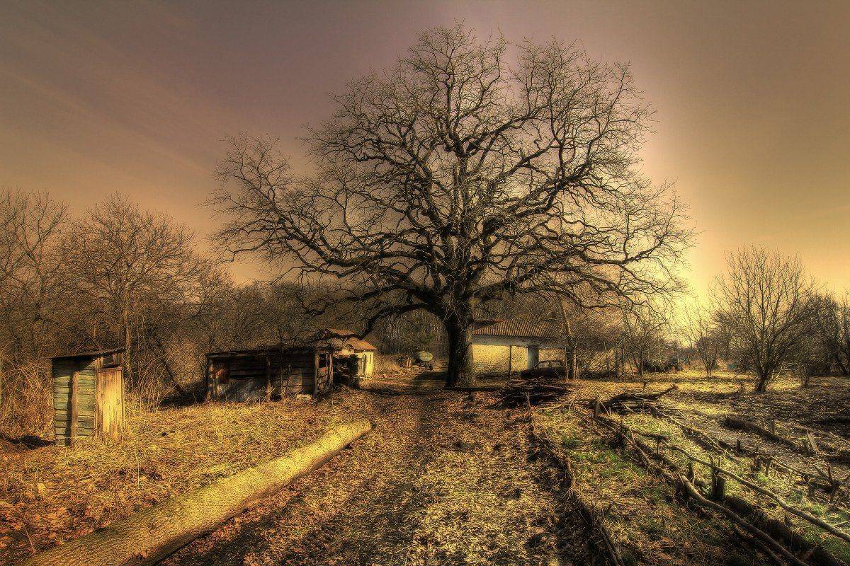 , Михаил  Пилипенко