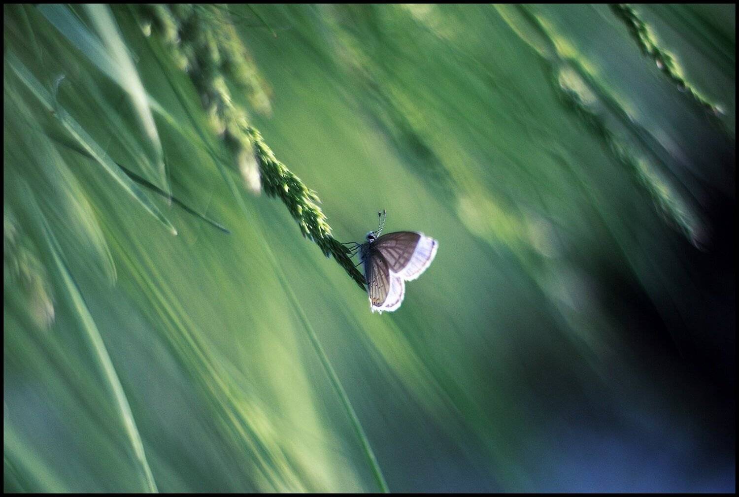 , Krzysztof Trojanowski