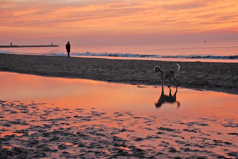 Закат на Северном море, Гаага фото превью