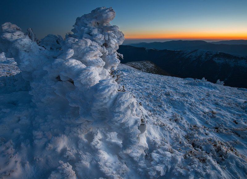 ***** фото превью