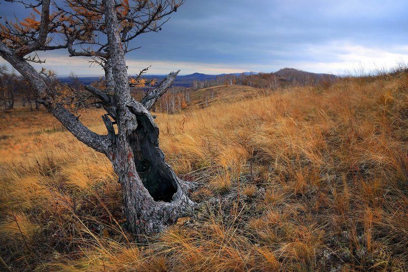 Хранитель... фото превью