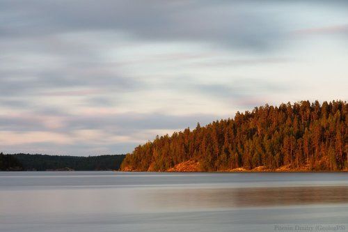 Горящий лес