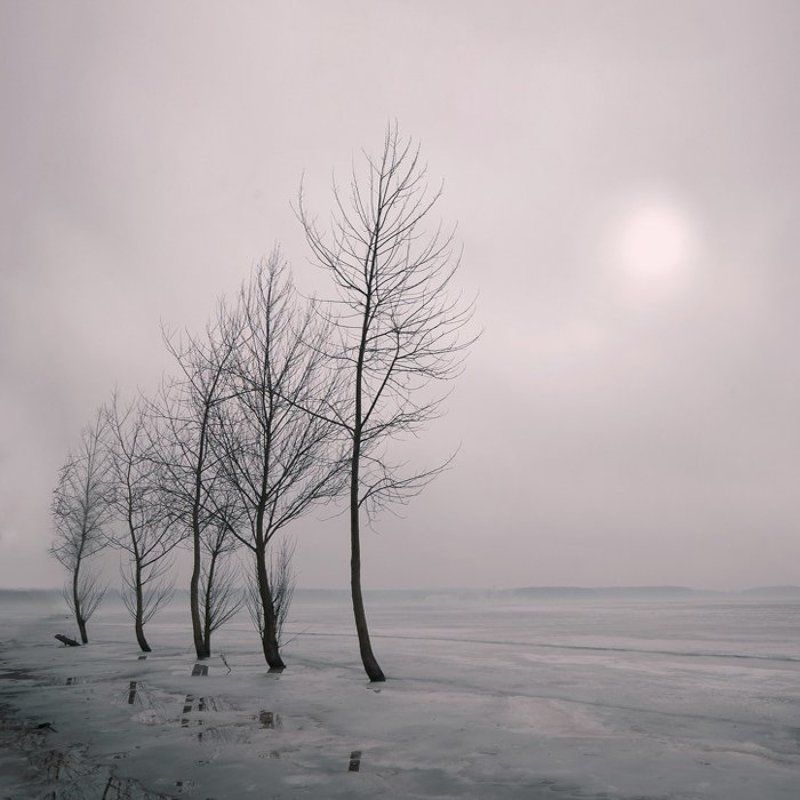 5+1 фото превью