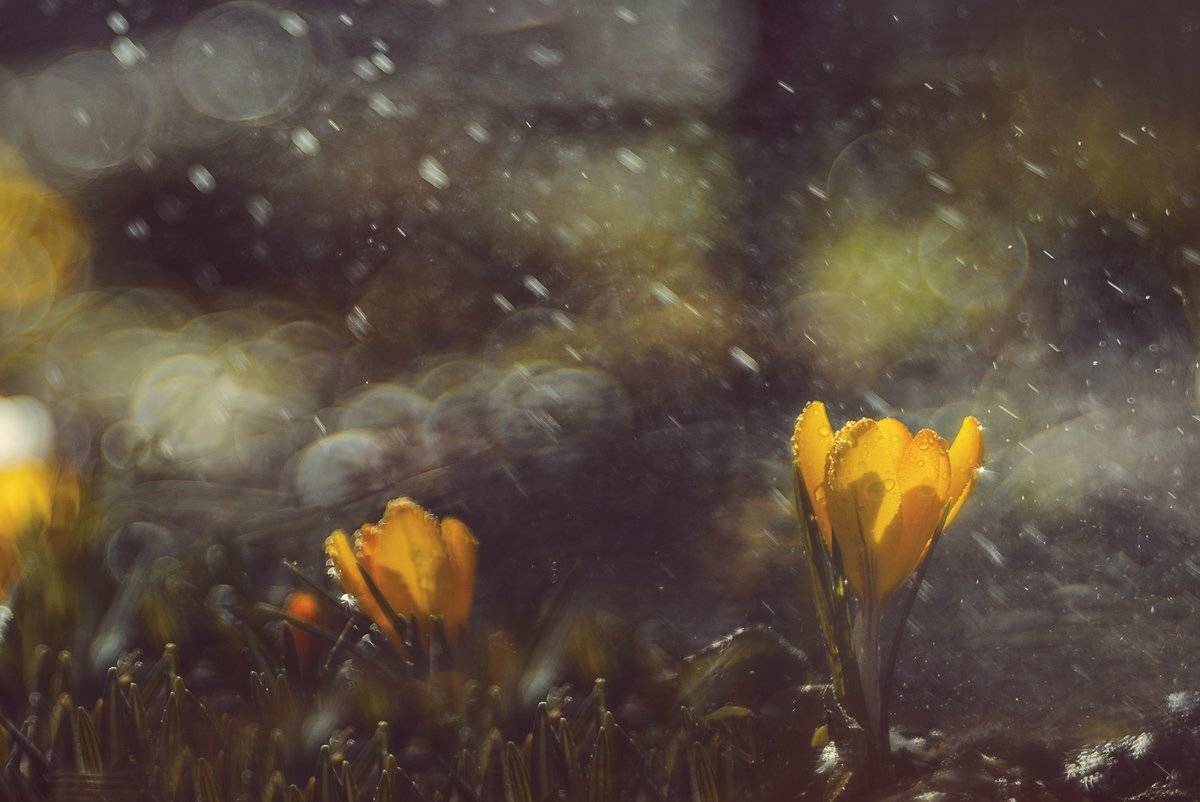 , Татьяна Аверина