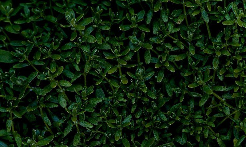 покрывало фото превью