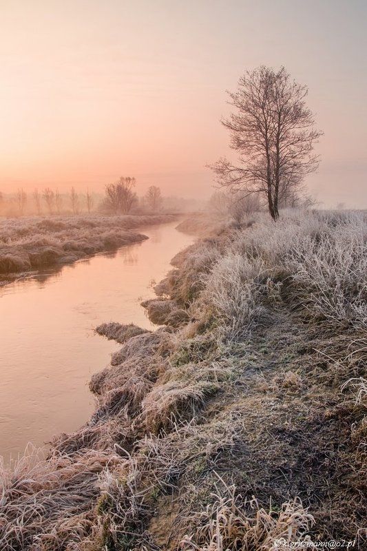 morning time ... фото превью