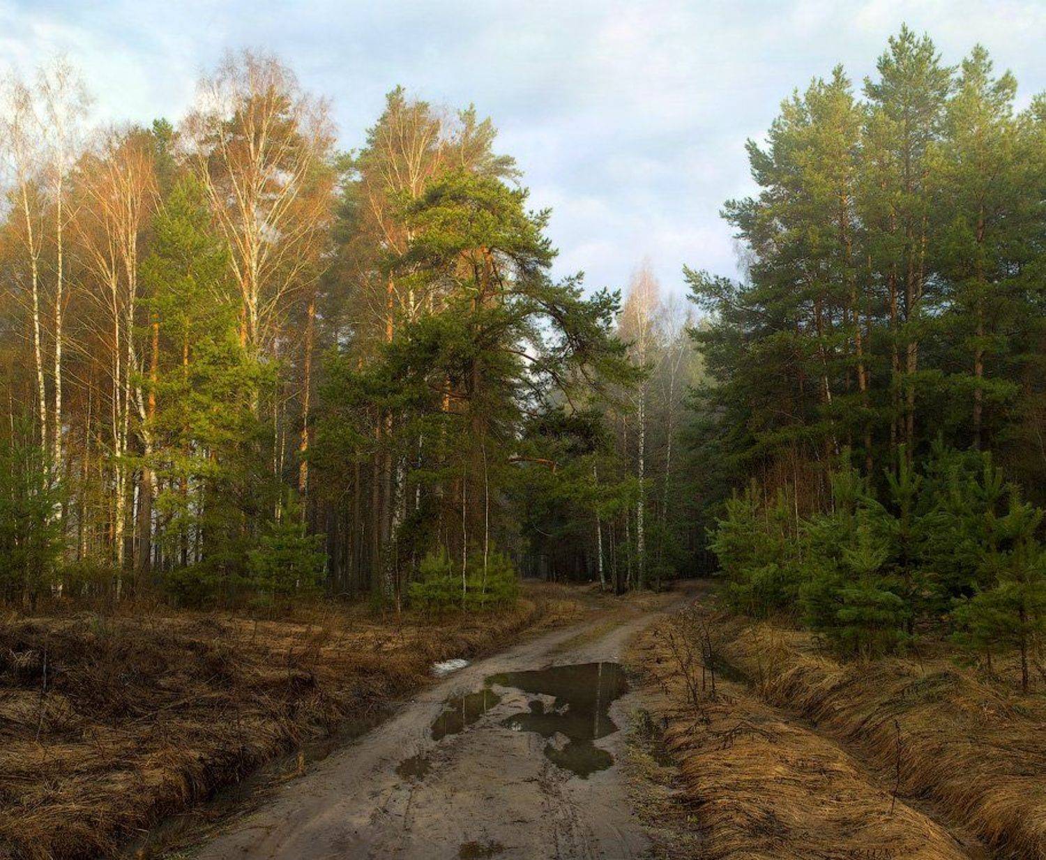 , Дмитрий Алексеев